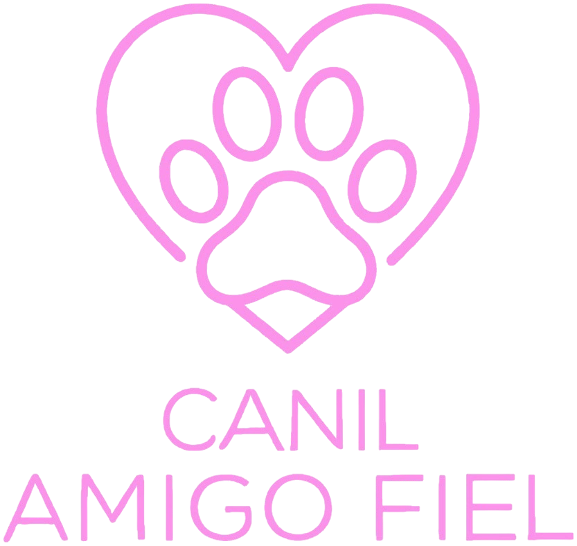 Logo Amigo Fiel